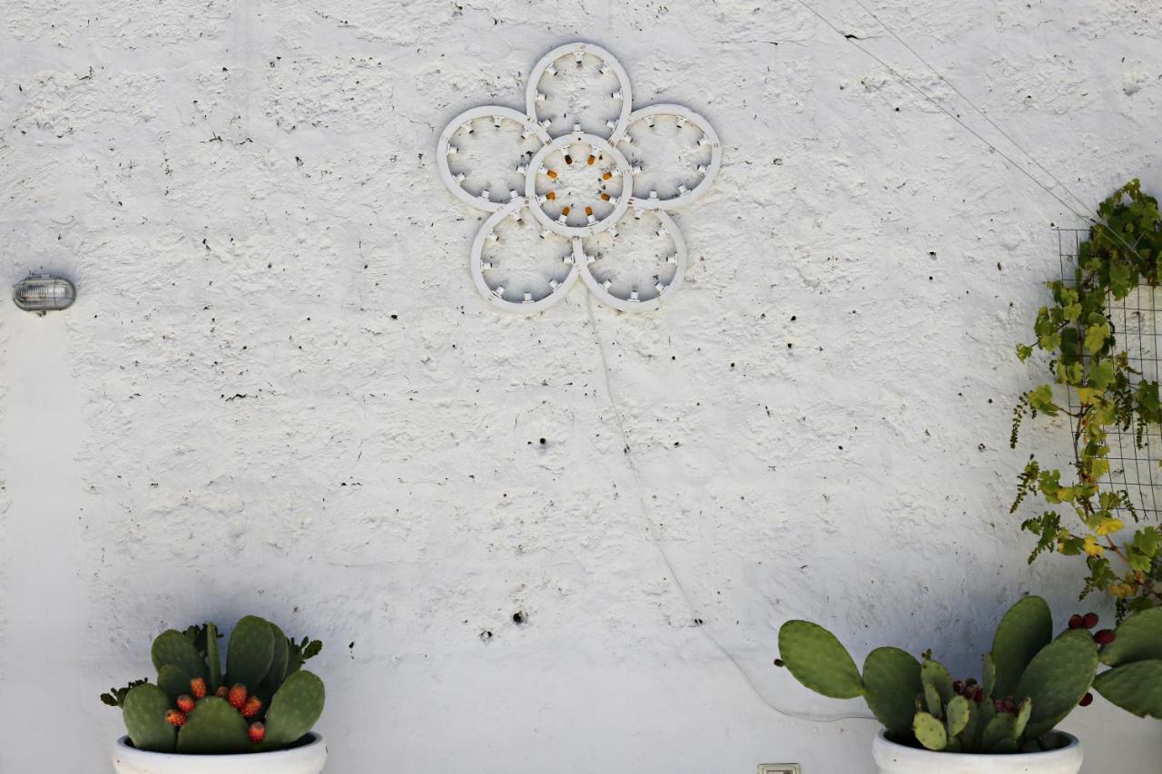Bed and Breakfast La Mitria Trani Exterior foto